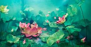 Foto: (Imagem sem texto alternativo disponivel ID [1896607])