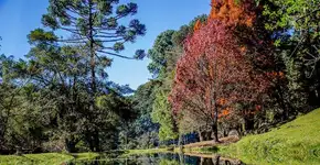 Foto: (Dona Chica Restaurante)