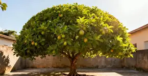 Foto: (Imagem sem texto alternativo disponivel ID [2663124])