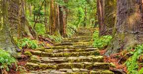 Foto: (Sean Pavone/Shutterstock.com)