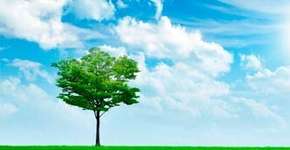 Brasileiros desenvolvem tecnologia para transformar plástico em papel