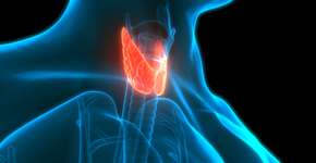 Equilibre sua tireoide: 5 alimentos aliados e quais evitar, segundo especialistas