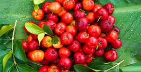 Foto: (Imagem sem texto alternativo disponivel ID [2697190])