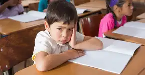 ‘Vivemos um excesso de valorização da aprendizagem com adultos’