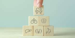 Foto: (Imagem sem texto alternativo disponivel ID [2618937])