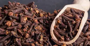 Aprenda a fazer repelente e conservante natural