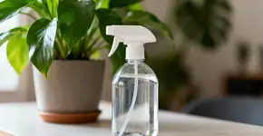 Foto: (Imagem sem texto alternativo disponivel ID [2671095])