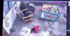 Gata salva bebê de cair da escada e vídeo viraliza; assista
