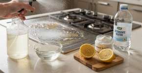 Foto: (Imagem sem texto alternativo disponivel ID [2689408])