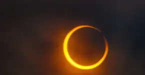 Foto: (kaly/Pixabay)