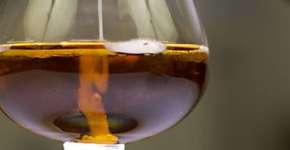 Livro de gastronomia traz receitas com sêmen