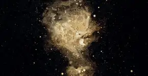 Foto: (Foto: Divulgação.)