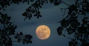 Qual a Lua desta sexta-feira, 13 de junho de 2025?