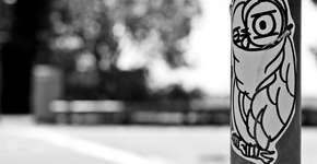 Projeto pretende transformar parque linear das Corujas em ponto de encontro com ajuda da comunidade