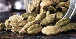 Foto: (iStock/Michelle Lee Photography)