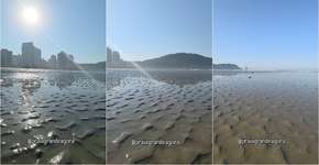 Mar secou no litoral paulista; entenda o fenômeno