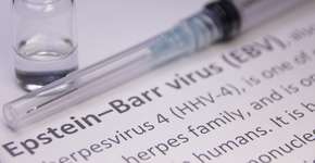 Foto: (Getty Images/iStockphoto)