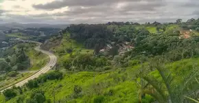 Bate e volta para São Roque: o destino ideal para um dia especial