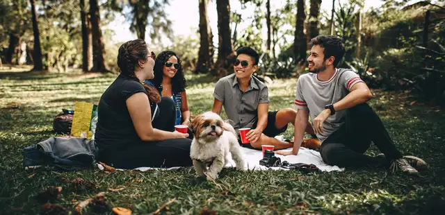 17 espaços ao ar livre para fazer um piquenique refrescante em SP