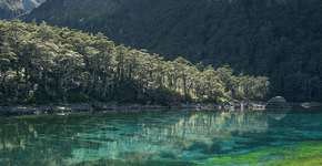 Foto: (Imagem sem texto alternativo disponivel ID [1394357])