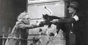 Livro denuncia massacre de 750 mil animais na Segunda Guerra