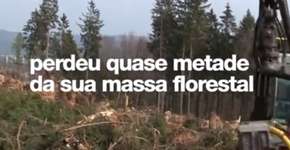 Após perder imensa área verde, Tailândia faz replantio criativo