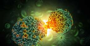 Câncer silencioso: 3 órgãos estão mais propensos a desenvolver