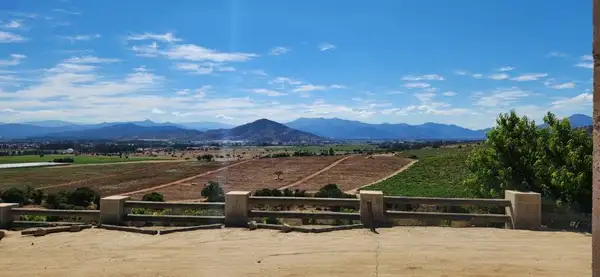 Vista dos vinhedos a partir da Casa Mirador