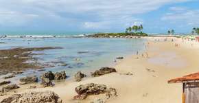 Foto: (Getty Images/iStockphoto)