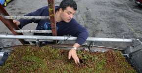 Foto: (Imagem sem texto alternativo disponivel ID [251667])