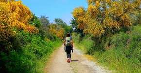 Quer viajar sozinha? Siga essas dicas!