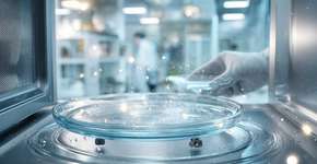 Micro-ondas com prato quebrado pode ser um risco a sua saúde