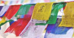 Foto: (Imagem sem texto alternativo disponivel ID [1834612])