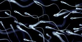 Foto: (LYagovy/istock)