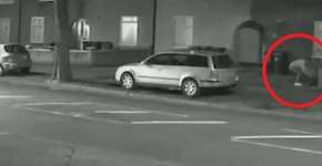 Foto: (Imagem sem texto alternativo disponivel ID [1352237])