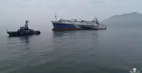Ação de ativistas desativa maior navio pesqueiro do mundo