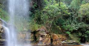 Foto: (Imagem sem texto alternativo disponivel ID [1495561])