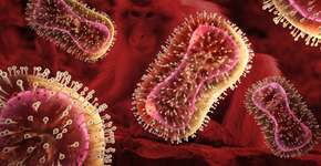 Foto: (peterschreiber.media/istoc)