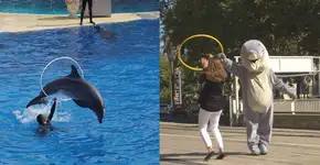 Foto: (Imagem sem texto alternativo disponivel ID [963258])