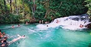 Foto: (Imagem sem texto alternativo disponivel ID [1556899])