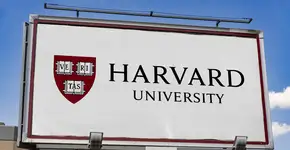 Cursos gratuitos em Harvard: estão abertas 160 vagas; inscreva-se