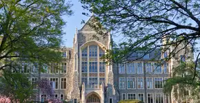 Foto: (OlegAlbinsky/iStock)