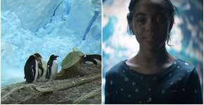 Foto: (Imagem sem texto alternativo disponivel ID [1040944])