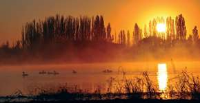 Foto: (Imagem sem texto alternativo disponivel ID [715879])