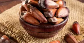 Benefícios do pinhão: veja 5 motivos para consumir e como aproveitar o alimento