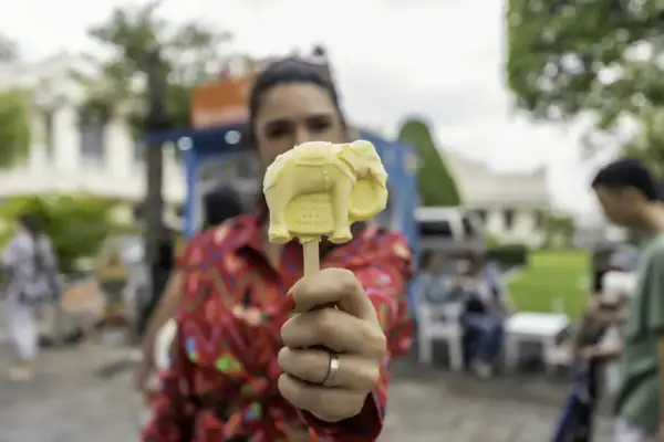 Sorvete de Durião, fruta que lembra jaca, mas é diferente, que tomei na saída do templo