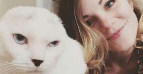 Estudante adota gato sem orelhas que acaba a salvando