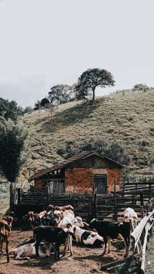 Paisagem ao longo do Caminho da Fé