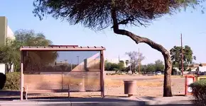 Árvores próximas ao ponto de ônibus dão impressão de espera mais curta