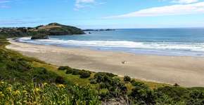 Foto: (Imagem sem texto alternativo disponivel ID [1075950])